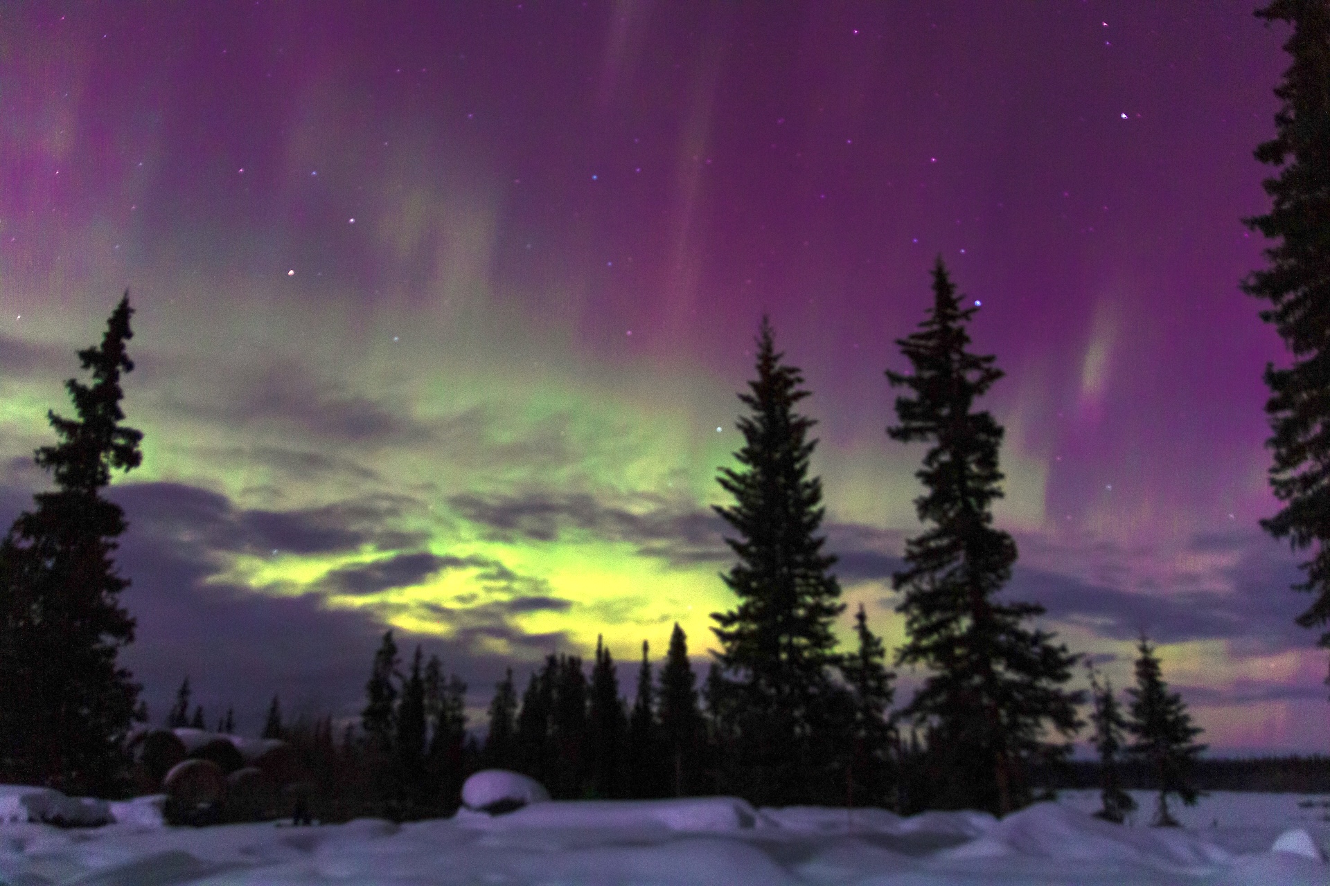 Northern Lights in Red Cariboo Resort in February 2023